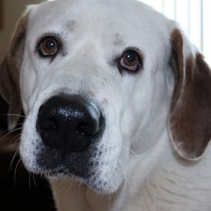 Meet your Posher, Alexandra